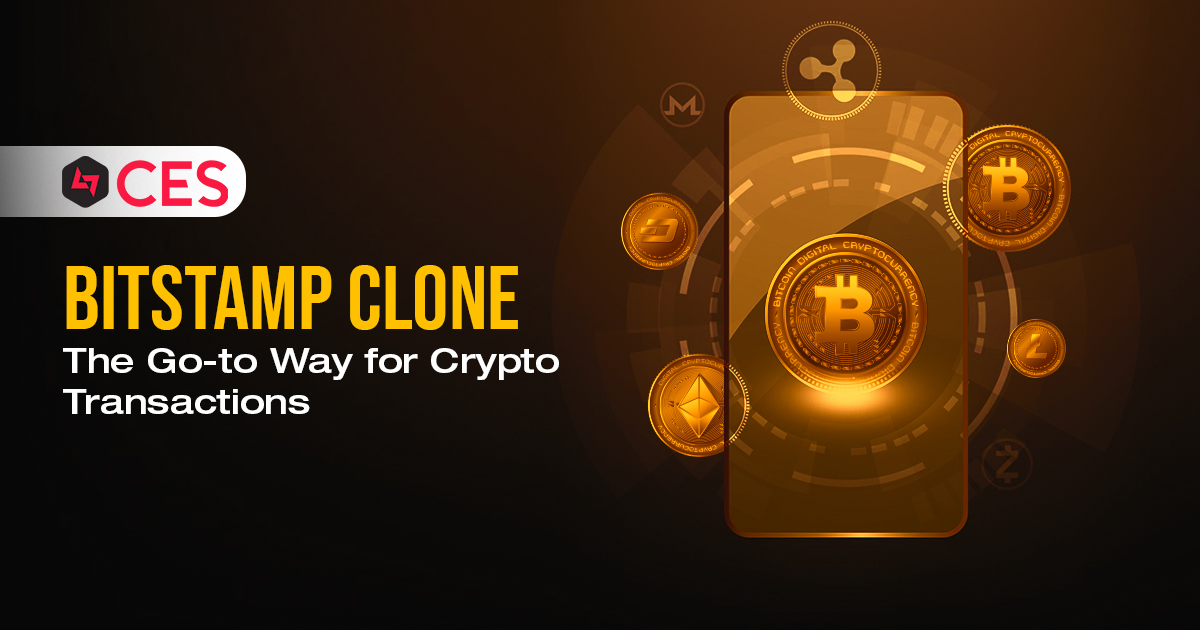 Everything about Our Universally Acclaimed Bitstamp Clone!